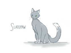 Examining The Warrior Cats System: Part II by Slatepaw – BlogClan