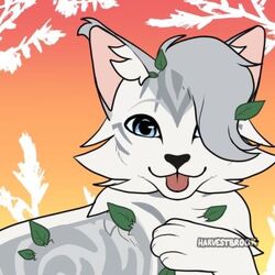 warrior cat name true meaning by Creamypaw – BlogClan