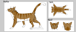 Firestar's Family Made Genetically Accurate by Briarpaw – BlogClan