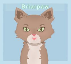 Firestar's Family Made Genetically Accurate by Briarpaw – BlogClan