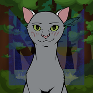 Me(ShadowClan version) from a Picrew maker!