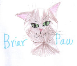 Firestar's Family Made Genetically Accurate by Briarpaw – BlogClan