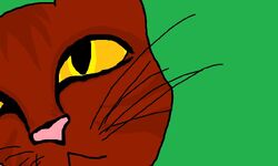 Is a Warrior Cats movie possible? by Falconpaw – BlogClan