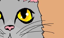 Is a Warrior Cats movie possible? by Falconpaw – BlogClan