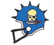 Reikland Reavers Helmet, c.2478