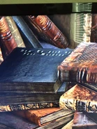 The "How to pick up Fair Maidens" book