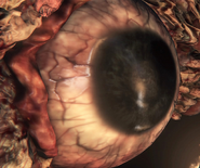 Bloodborne™ 20151019162645.png (1.46 MB) Bloodborne™ 20151019162645