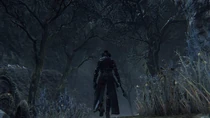 Bloodborne™ 20151013085621.jpg (477 KB)