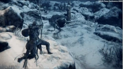 Bow blade.gif (1.57 MB) Bow form