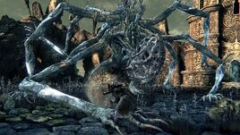 Amygdala