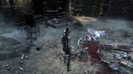Bloodborne™ 20151125121059.jpg (411 kB)