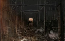 A Beast Patient in Hemwick Charnel Lane - however, this was cut in the release of the game