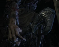 Crown Beak Eye removing tool