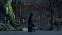 Bloodborne™ 20151013081529