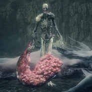 Huérfano de Kos.jpg (451 kB) Huérfano de Kos