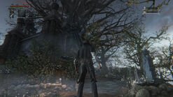 Image-bloodborne-screen-36db