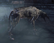 A rabid dog with crow head in Nightmare of Mensis