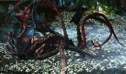 Moon Presence №1.png