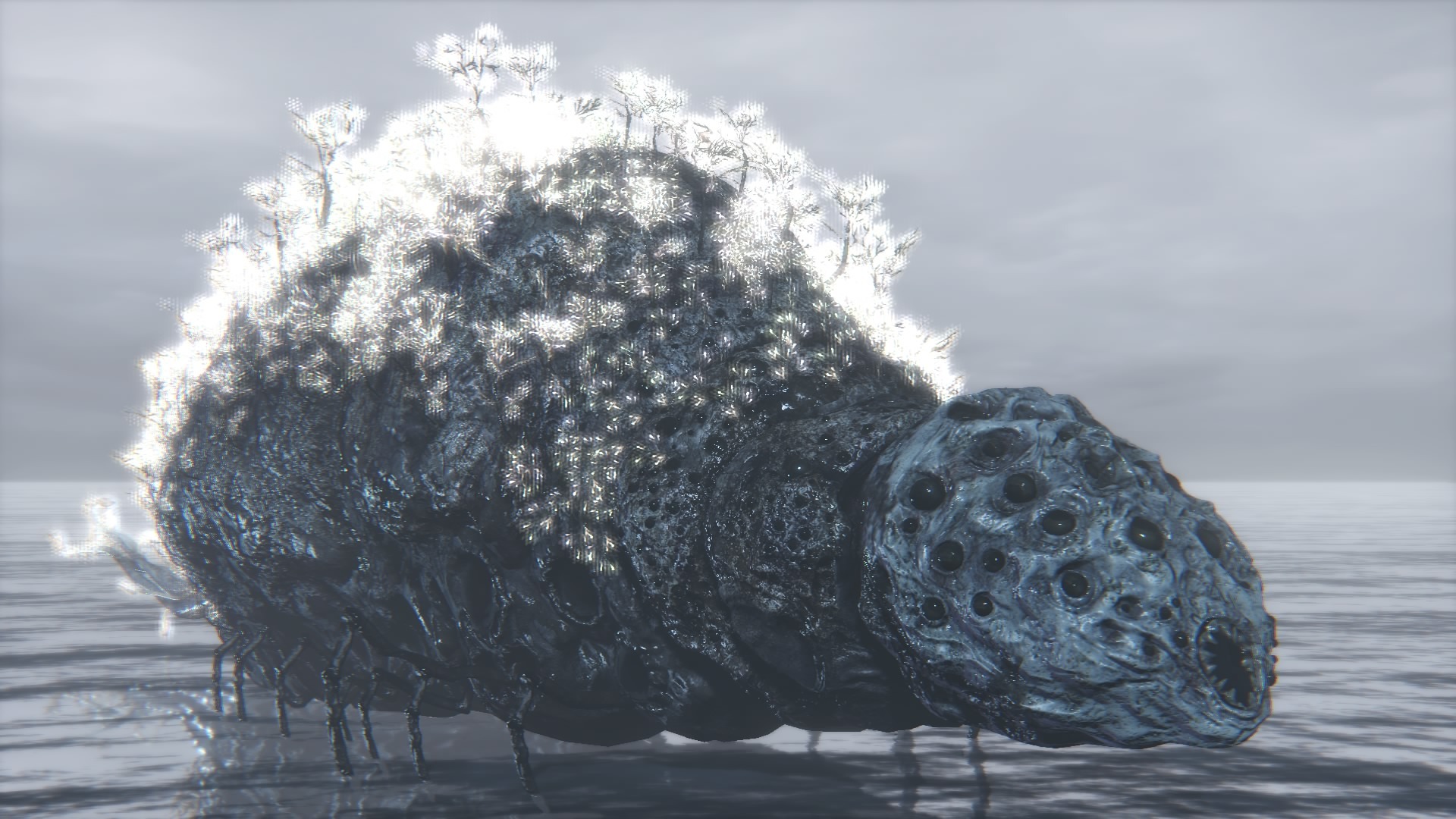 Rom, the Vacuous Spider, Bloodborne Wiki