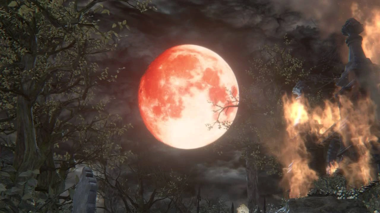 Bloodborne Chalice root glyph farming — Forbidden Woods guide