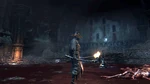 Bloodborne™ 20151124140218.jpg (305 kB)