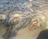 A picture of a silver Rapid dog in Hypogean Gaol and in Chalice Dungeons