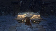 A coffin with treasure in Chalice Dungeon