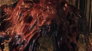 Bloodborne™ 20151021183637.jpg (396 kB)