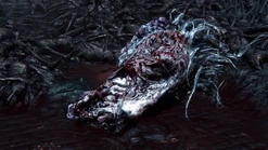 Bloodborne™ 20151124140100.jpg (421 kB)