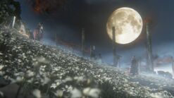 Image-bloodborne-c01b