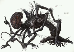 wallpapers Bloodborne Enemies Concept Art amygdala bloodborne wiki fandom
