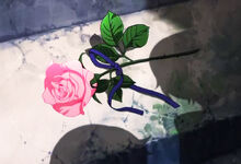 Hajis rose.jpg