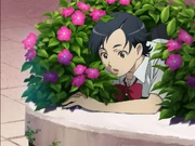 Saya fallen in a bush while listening to Hagi's cello