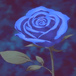 Roses Anime GIF - Roses Anime Thorns - Discover & Share GIFs