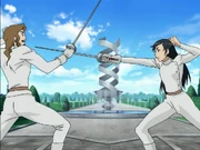 Saya fencing