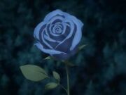 Blue Rose Anime GIF  Blue Rose Anime Step  Discover  Share GIFs