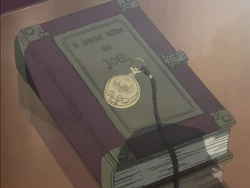 Joel's diary