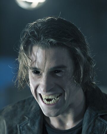 Werewolf Vampire Hybrids Bloodrayne Mia The Vampire Slayer Wiki Fandom Werewolf Vampire Hybrids Bloodrayne Mia The Vampire Slayer Wiki Fandom