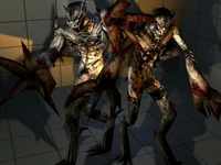 Feral Vampire