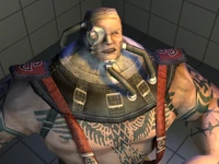 D. Mauler