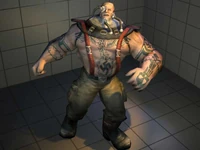 D. Mauler