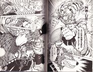 Shirakumo se transforma en el dios cardinal Byakko el tigre blanco.