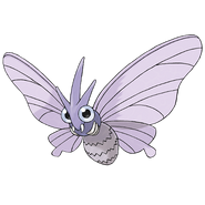 Red's Venomoth