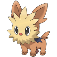 Cheren's Lillipup