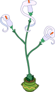 The Willowspirit Plant