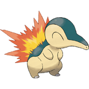 Ethan's Cyndaquil