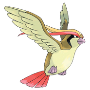 Blue's Pidgeot