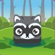 Racoon with background
