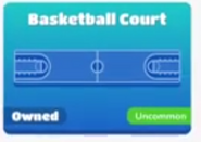 Basketball Court