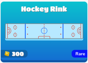 Hockey Rink